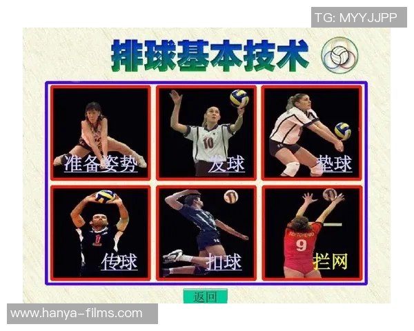 成都排球队的节奏与战术分析探索排球竞技的新境界 成都排球队的节奏与战术分析探索排球竞技的新境界