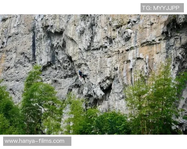 攀岩运动的灵活性探讨：北京攀岩队如何应对挑战与变化